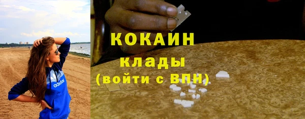 дживик Бородино