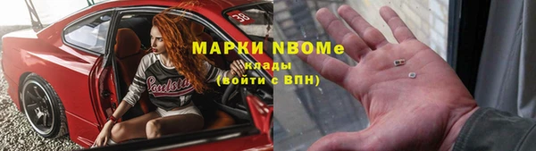 индика Бронницы