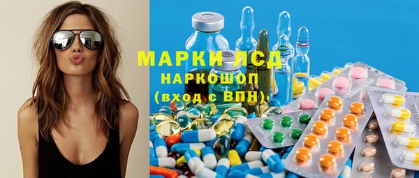 дживик Бородино