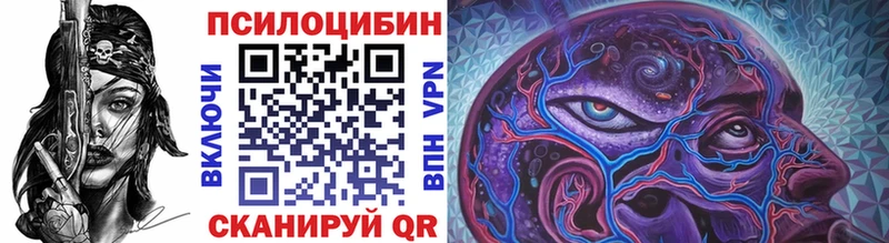OMG зеркало  даркнет сайт  Грайворон  Псилоцибиновые грибы мицелий 